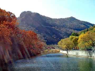 乡村花卉养殖方法（乡村花圃）